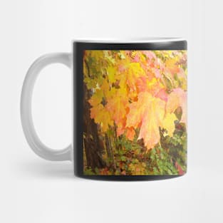 leaves in autumn Mug